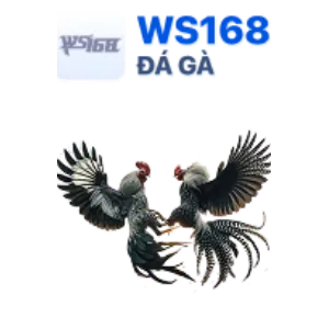 Xổ số và trò chơi may rủi 8us